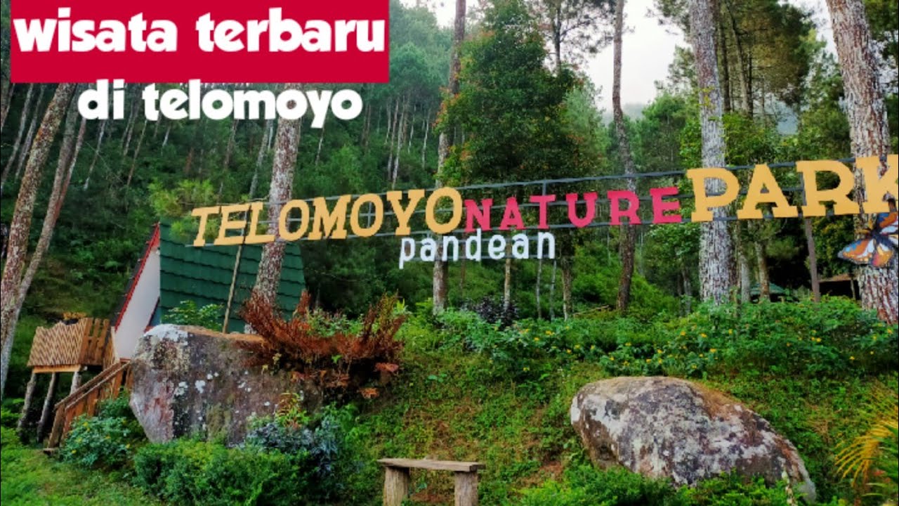 Telomoyo Nature Park: Pesona Alam nan Memikat di Kaki Gunung Merbabu